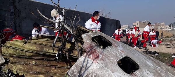 Общество Красного Полумесяца Исламской Республики Иран на месте крушения украинского Boeing - 俄罗斯卫星通讯社