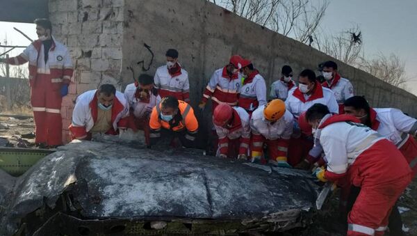 Общество Красного Полумесяца Исламской Республики Иран на месте крушения украинского Boeing - 俄羅斯衛星通訊社