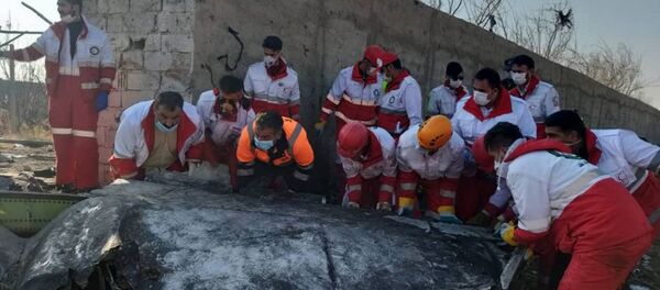 Общество Красного Полумесяца Исламской Республики Иран на месте крушения украинского Boeing - 俄羅斯衛星通訊社