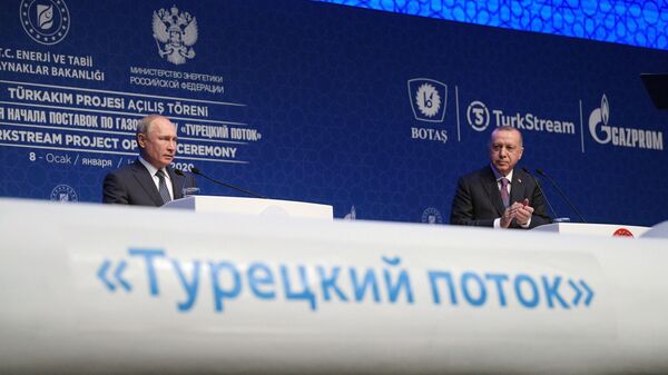 2020年1月8日，俄罗斯总统普京和土耳其总统埃尔多安在伊斯坦布尔出席“土耳其流”天然气管道开通仪式 - 俄罗斯卫星通讯社
