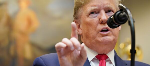 Президент США Дональд Трамп - 俄罗斯卫星通讯社