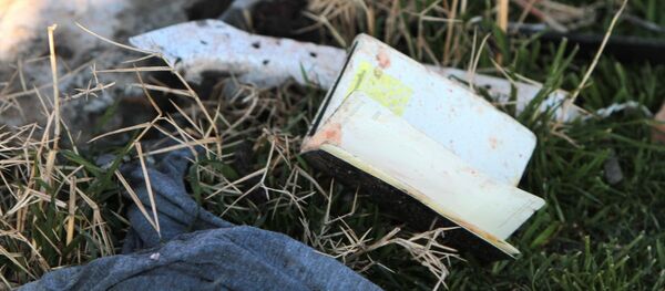 На месте крушения пассажирского лайнера Украины Boeing 737-800 - 俄罗斯卫星通讯社