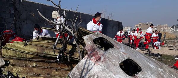 На месте крушения пассажирского лайнера Украины Boeing 737-800 На месте крушения пассажирского лайнера Украины Boeing 737-800 - 俄羅斯衛星通訊社