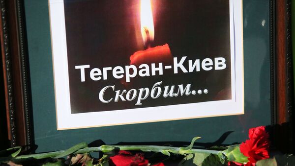 Цветы у посольства Ирана в Киеве в память о погибших в результате крушения пассажирского лайнера Украины Boeing 737-800 в Тегеране.  - 俄罗斯卫星通讯社