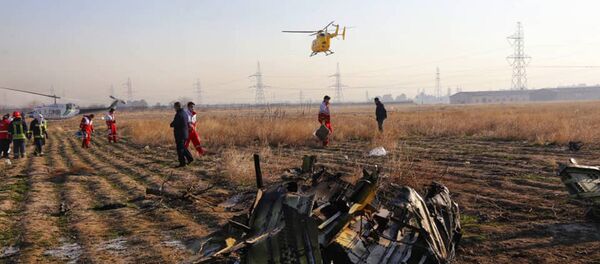 На месте крушения пассажирского лайнера Украины Boeing 737-800 - 俄罗斯卫星通讯社