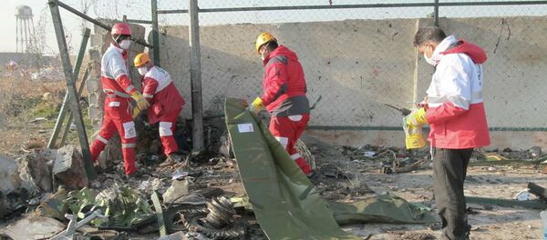 Крушение пассажирского лайнера Boeing 737-800 Международных авиалиний Украины вблизи Тегеранского международного аэропорта имени Имама Хомейни - 俄罗斯卫星通讯社