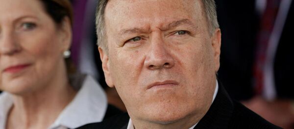 美国国务卿迈克∙蓬佩奥 - 俄罗斯卫星通讯社