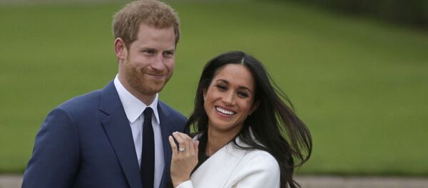 哈里夫妇停止履行王室职责具体时间已定 - 俄罗斯卫星通讯社