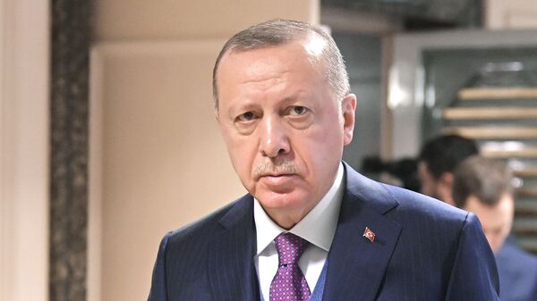 土耳其总统雷杰普•塔伊普•埃尔多安 - 俄罗斯卫星通讯社