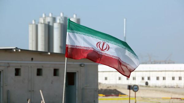 Иранский флаг на АЭС Бушер - 俄罗斯卫星通讯社