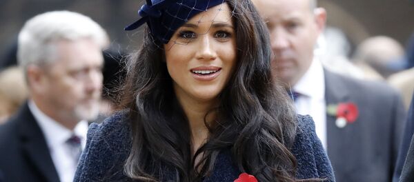 梅根回归荧幕希望扮演什么角色？ - 俄罗斯卫星通讯社