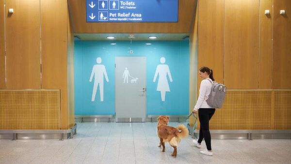 芬蘭機場為寵物狗建造廁所 - 俄羅斯衛星通訊社