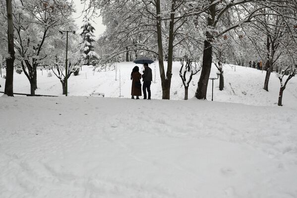 雪中的一对情侣 - 俄罗斯卫星通讯社