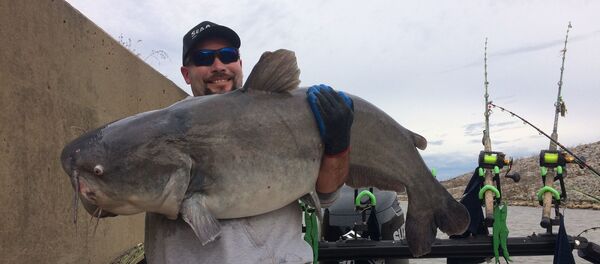Огромный улов Огромный улов - 俄羅斯衛星通訊社