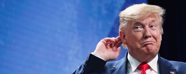 Президент США Дональд Трамп Президент США Дональд Трамп - 俄羅斯衛星通訊社