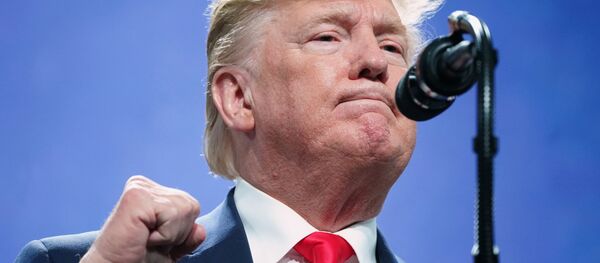 Президент США Дональд Трамп - 俄罗斯卫星通讯社