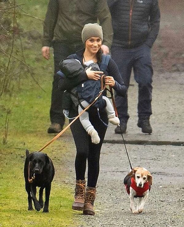 梅根加拿大抱娃遛狗（圖片） - 俄羅斯衛星通訊社