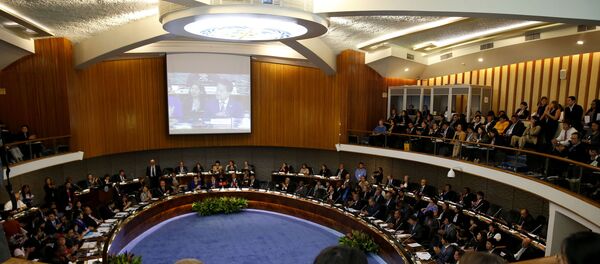 世卫2019-nCoV突发事件委员会下次会议或将在3个月后召开 - 俄罗斯卫星通讯社