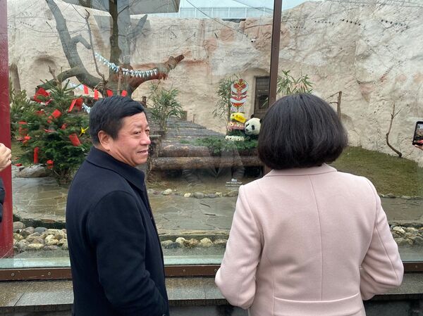 中国驻俄大使在农历新年之际向莫斯科大熊猫赠送礼物 - 俄罗斯卫星通讯社