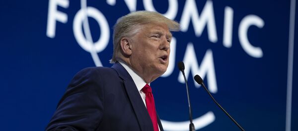 President Donald Trump  - 俄罗斯卫星通讯社