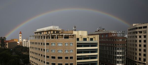 黎巴嫩首次由女性担任国防部长 - 俄罗斯卫星通讯社