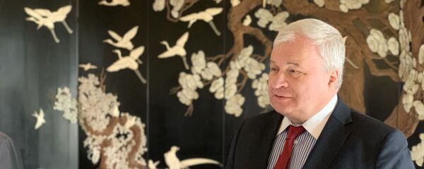 俄罗斯驻华大使馆获赠宋词集 - 俄罗斯卫星通讯社