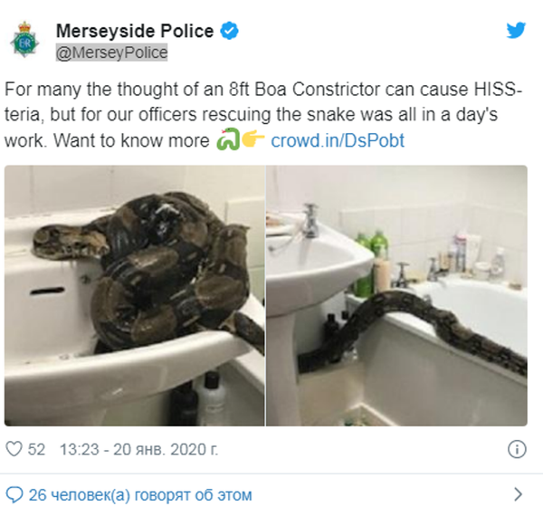 英国一名女孩在浴室发现两米长蟒蛇 英国一名女孩在浴室发现两米长蟒蛇 - 俄罗斯卫星通讯社