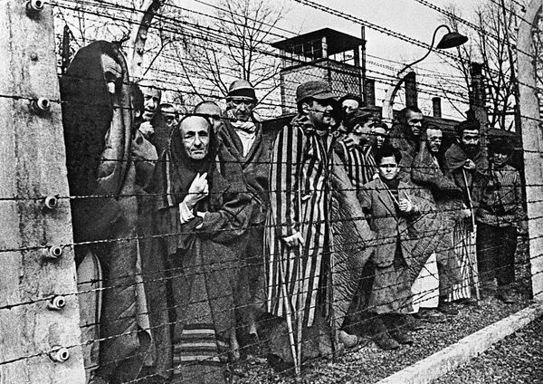 奥斯维辛集中营的囚犯从铁丝网后面看着镜头。 - 俄罗斯卫星通讯社