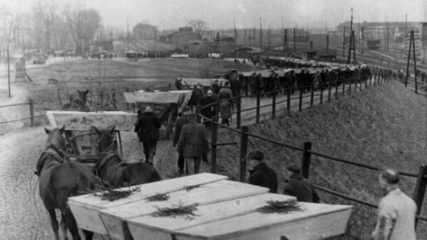 历史学家：当地居民追捕毛特豪森集中营囚徒酿成悲剧 - 俄罗斯卫星通讯社