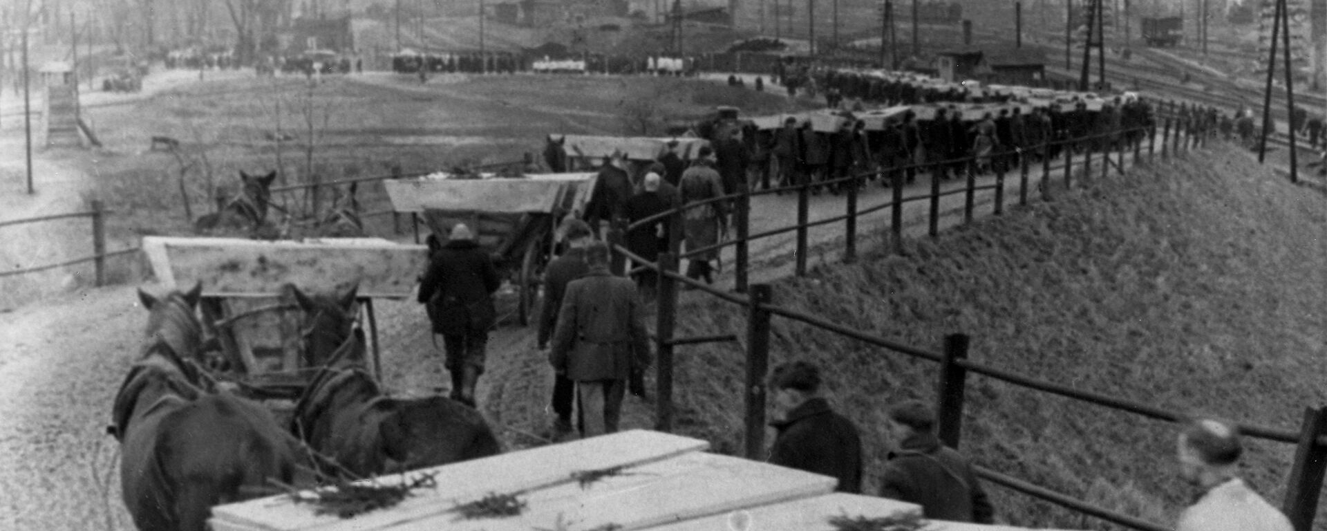 历史学家：当地居民追捕毛特豪森集中营囚徒酿成悲剧 - 俄罗斯卫星通讯社, 1920, 07.02.2026