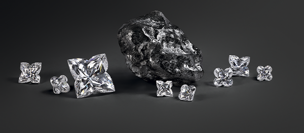 Алмаз Sewelo, приобретенный Louis Vuitton, и цветные камни Chopard - 俄罗斯卫星通讯社