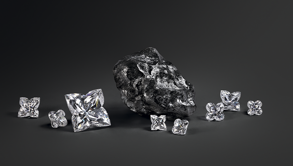 Алмаз Sewelo, приобретенный Louis Vuitton, и цветные камни Chopard - 俄羅斯衛星通訊社