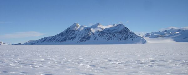 科學家揭開南極“球形化石”的奧秘 - 俄羅斯衛星通訊社
