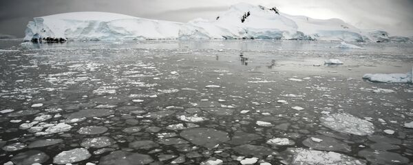 Ледяные поплавки на поверхности моря у Антарктического полуострова Ледяные поплавки на поверхности моря у Антарктического полуострова - 俄罗斯卫星通讯社