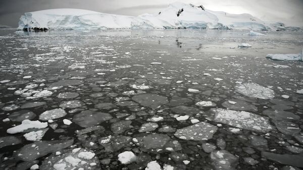 Ледяные поплавки на поверхности моря у Антарктического полуострова - 俄羅斯衛星通訊社