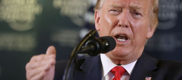 Президент США Дональд Трамп Президент США Дональд Трамп - 俄罗斯卫星通讯社