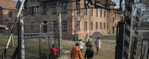 Посетители музея на территории бывшего концентрационного лагеря Аушвиц-Биркенау в Освенциме - 俄羅斯衛星通訊社