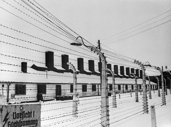 奥斯威辛集中营解放75周年 - 俄罗斯卫星通讯社