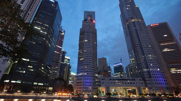 新加坡自11月21日起禁止無人機跨境飛行 - 俄羅斯衛星通訊社