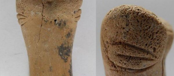 Археологи раскопали 8500-летнюю фигурку неизвестного существа - 俄罗斯卫星通讯社