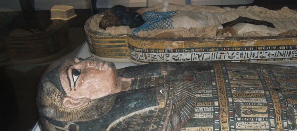 科学家揭开埃及“尖叫木乃伊”的死亡之谜 - 俄罗斯卫星通讯社