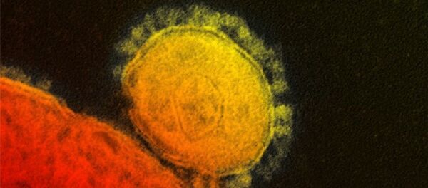 Вирус Вирус - 俄罗斯卫星通讯社