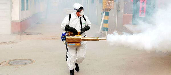 加拿大航空因新型冠状病毒爆发暂停飞往京沪两地航班 - 俄罗斯卫星通讯社