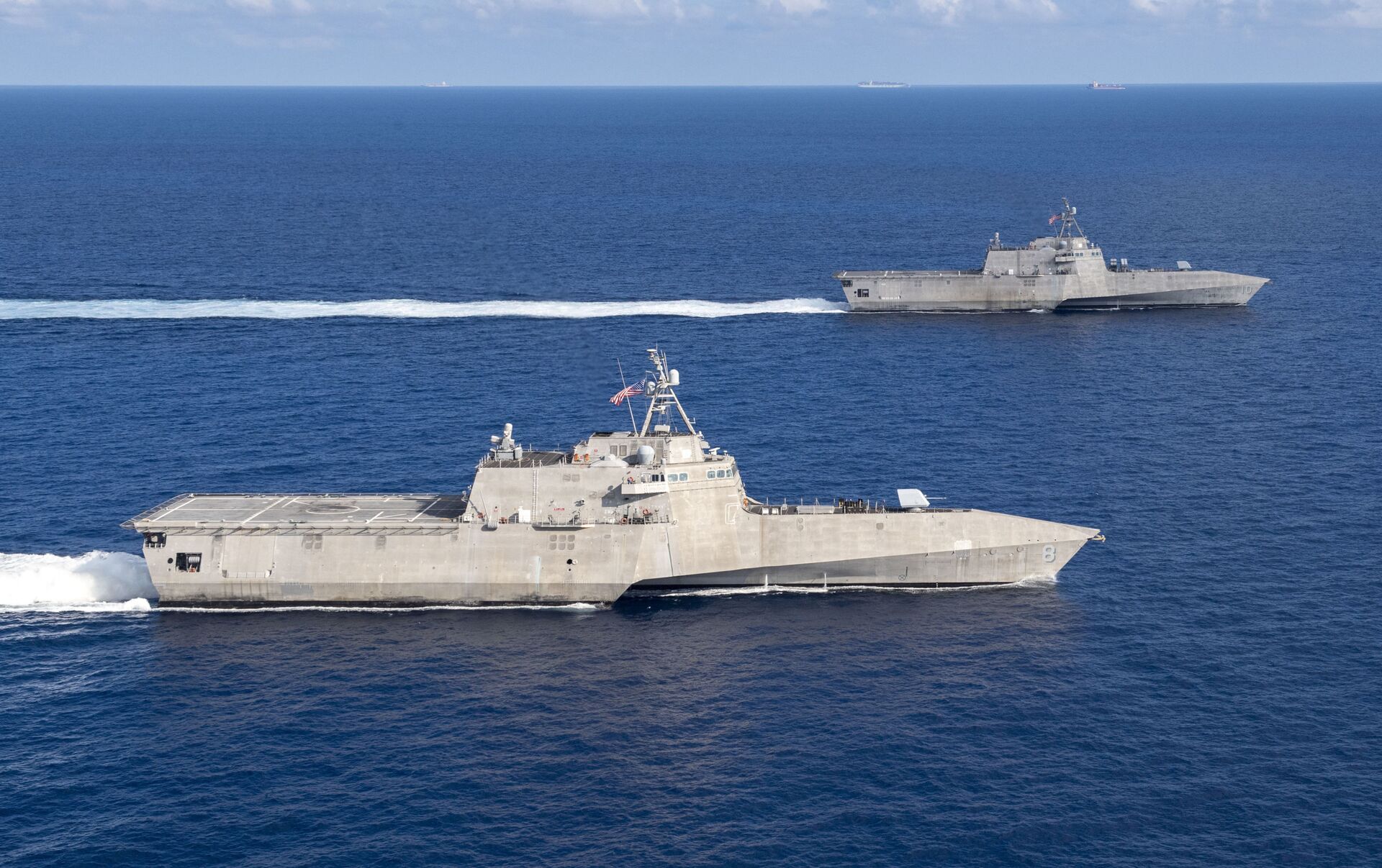 北美航海麒麟：一种迷人的淡水龟