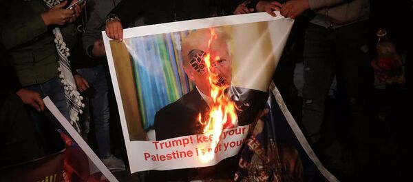 Акция протеста против плана палестино-израильского урегулирования - 俄羅斯衛星通訊社