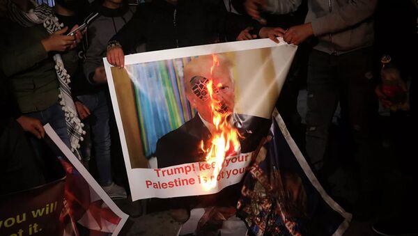 Акция протеста против плана палестино-израильского урегулирования - 俄羅斯衛星通訊社