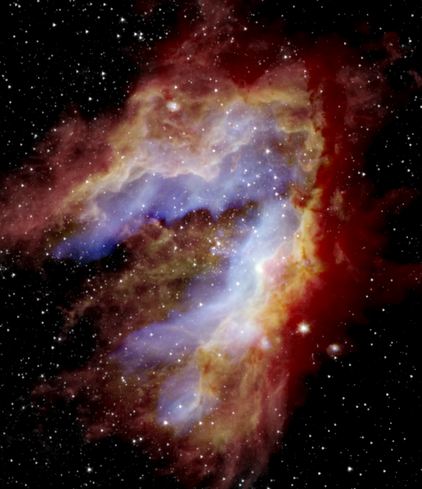 由紅外平流層天文台(SOFIA)拍攝的天鵝座星雲合成圖像，可使科學家看到“繭狀”濃密氣體中的原恆星。 - 俄羅斯衛星通訊社
