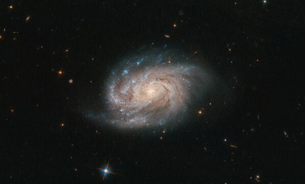 位於繪架座的NGC 1803星系，距地球2億光年。 - 俄羅斯衛星通訊社