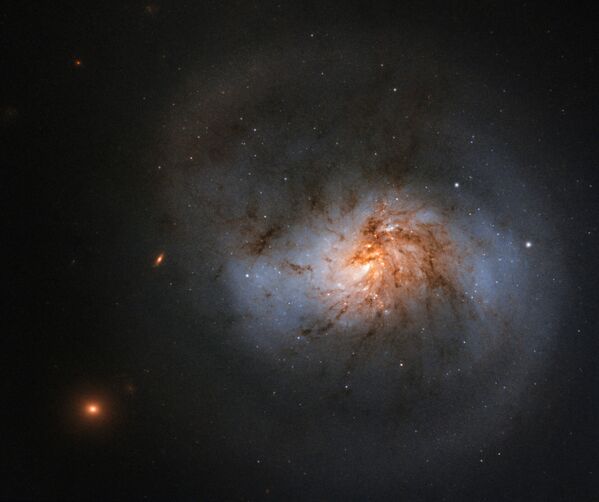 哈勃望远镜在Cetus星座获得令人印象深刻的NGC 1022旋涡星系图像。 - 俄罗斯卫星通讯社