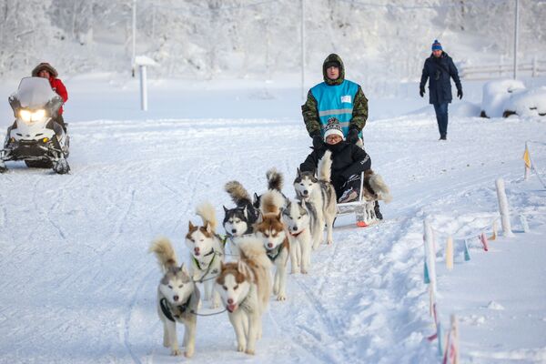 來自中國的遊客乘坐狗拉雪橇 - 俄羅斯衛星通訊社